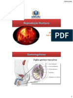 Aula 1 - Reprodução Humana