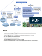 Mapa Conceptual Fósforo