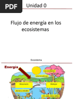 Biologia 2 PPT Flujo de Energia 1 3