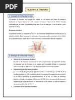 HIPOTIROIDISMO