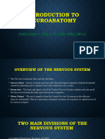 4 Introduction To Neuroanatomy