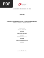 Trabajo Final - Estado de La Cuestión Sobre Las Causas de La Violencia Intrafamiliar en Tiempos de Covid-19 en Arequipa, 2020 - 2021