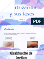 Presentación - Cicatrización y Sus Fases