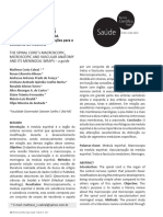 Anatomia Macroscópica, Microscópica e Vascular Do Sistema Nervoso