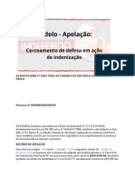 Modelo de Peca Apelacao Cerceamento de Defesa Por Indeferimento de Prova Acidente de Transito