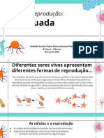 Reprodução Assexuada