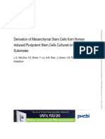 Jurnal KJH-Derivation of Mesenchymal Stem Cells From Human