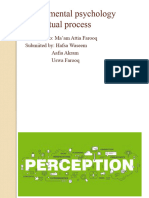 Perceptual Process