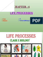 LIFE PROCESSES - PPT - Removed