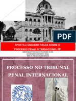 Apostila Esquematizada Sobre O Processo Penal Internacional-Tpi