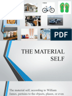 The Material Self Ge 1