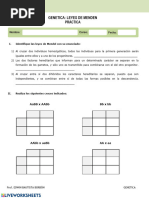 Leyes de Mendel - Taller