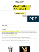 Aula 2 - Anatomia I - Osteologia