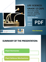 PP19. Responding To The Environment Plants