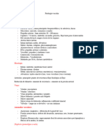 Patología Vascular