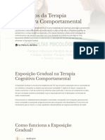 Os Principais Fundamentos Da TCC - Exposição Gradual