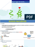 Acidos Nucleícos