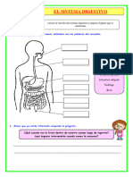 U2 S2 Ficha D3 CT El Sistema Digestivo Maestras de Primaria Del Peru