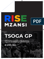 RISE Mzansi Plans For Gauteng Outlined by Vuyiswa Ramokgopa