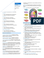 Resumo de Cirurgia e Anestesiologia