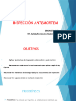 2020inspección Antemortem