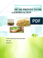 Informe de Mi Proyecto de Germinacion