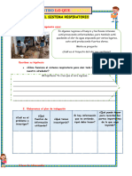 Ficha - El Sistema Respiratorio Informacion para La Docente