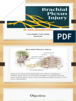 Brachial Plexus Injury PDF