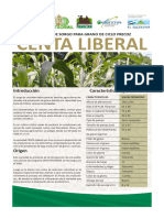 Boletin Centa - Sorgo Liberal