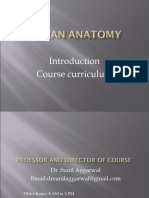 Anatomy Course Curriculum