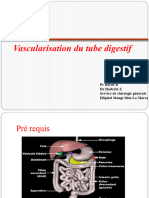 Vascularisation Du Tube Digestif Et Annexes