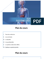 Suite Glandes Endocriniennes