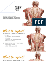 CHAPTER 3 PART A - Anatomy of The Nervous System