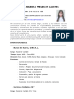 Financista Diana Mendoza Caceres CV