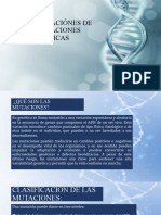 Clasificacion de Las Mutaciones Geneticas