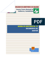 05 NA 05 Documentos Del Auditor