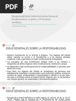 Responsabilidad Administrativa en General S Bustos