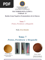 Tema 7 Proteus...