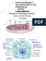 TD Bio Cell