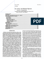 Bacillus Cereus and Related Species