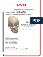 Practica 1 Aspectos Macroscópicos Del Cráneo