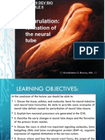 BIO109 Neurulation-M6