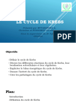 Le Cycle de Krebs