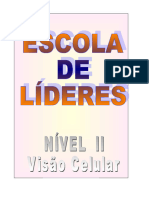 Escola de Lideres 2 - Visão Celular