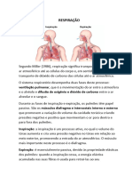 Apresentação Respiratória