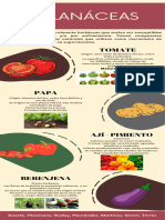 Infografía Solanáceas