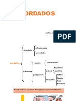 Cap.08.cordados Aula