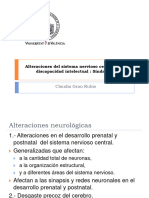 SNC y Discapacidad Intelectual