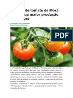 Fábrica de Tomate de Mora Teve A Sua Maior Produção de Sempre