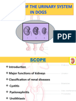 Diseases of Urinary System